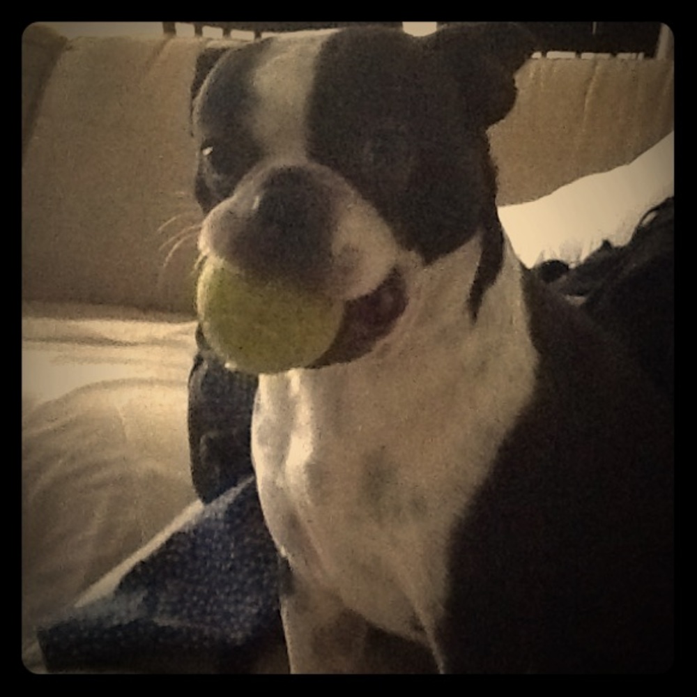 Tips on presentations...anyone.